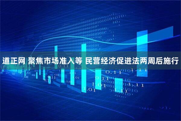 道正网 聚焦市场准入等 民营经济促进法两周后施行